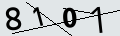 verifycode